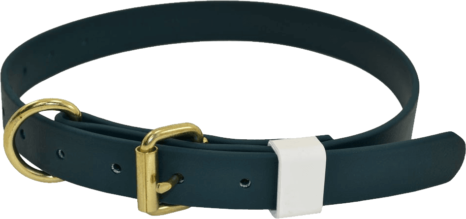 Accesorios para Mascotas